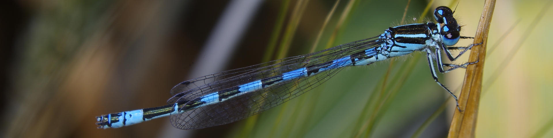 Étiquette : <span>Maroc</span>