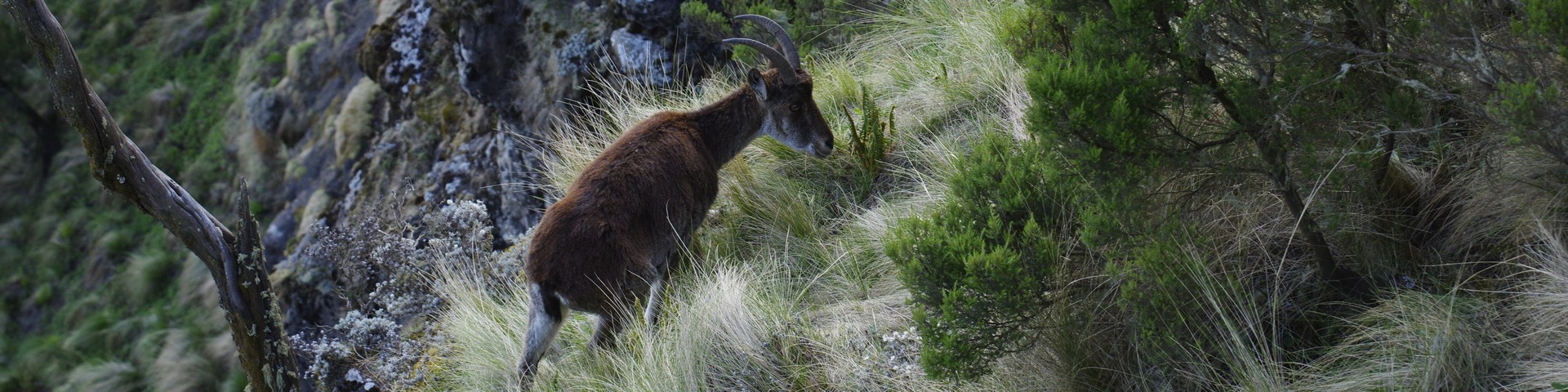 LES CARNETS DE TONTON