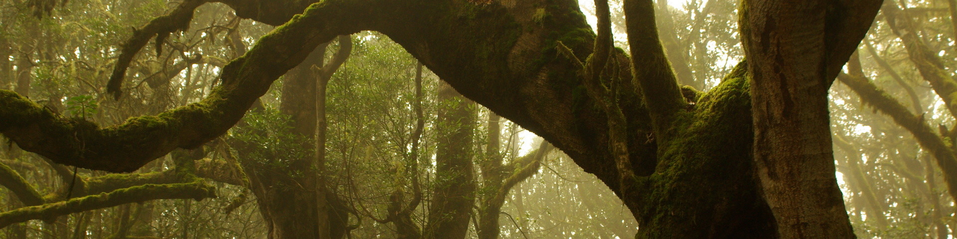 Étiquette : <span>Paysages</span>