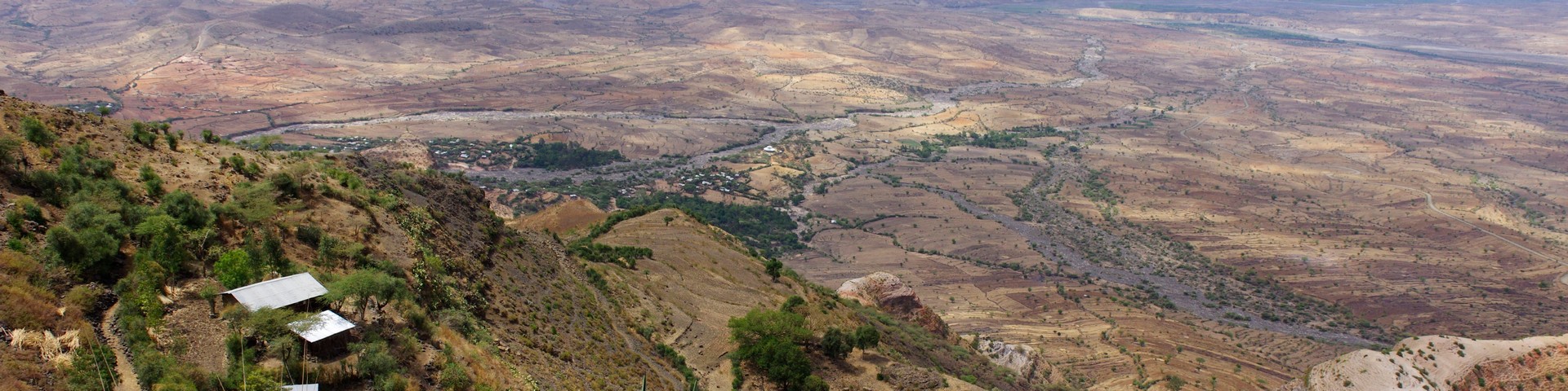 LES CARNETS DE TONTON