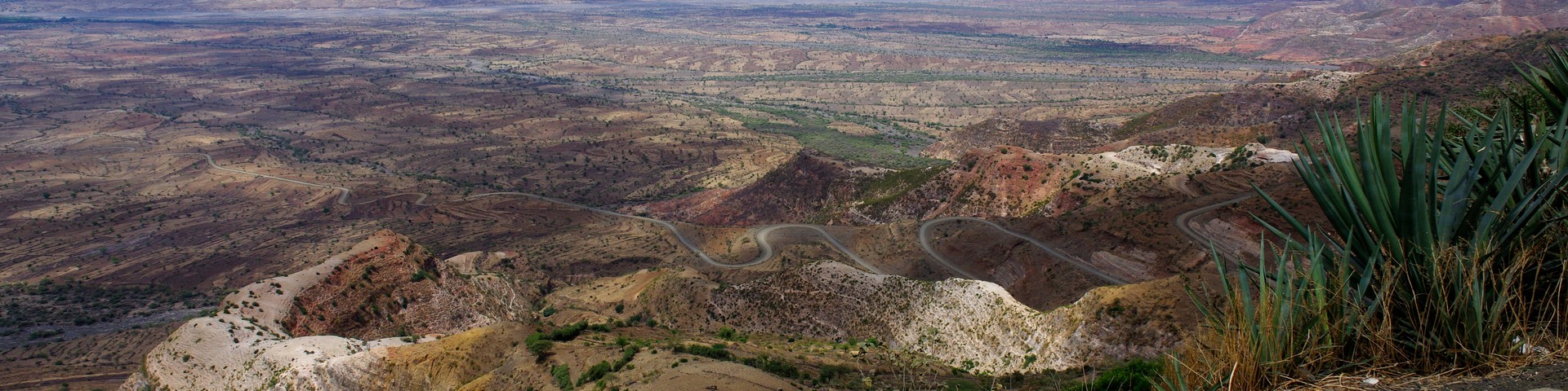 LES CARNETS DE TONTON