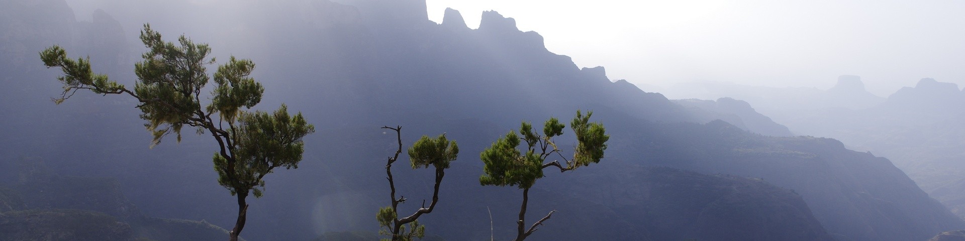 LES CARNETS DE TONTON