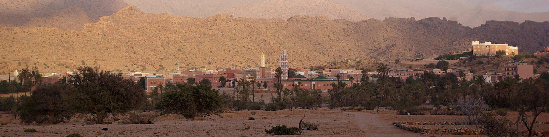 LES CARNETS DE TONTON